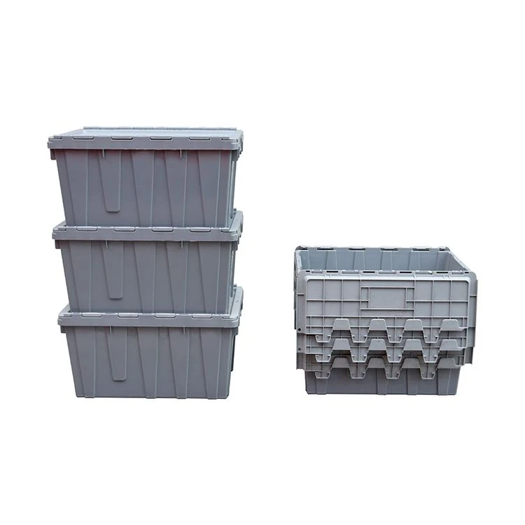 প্লাস্টিক রাউন্ড ট্রিপ Totes